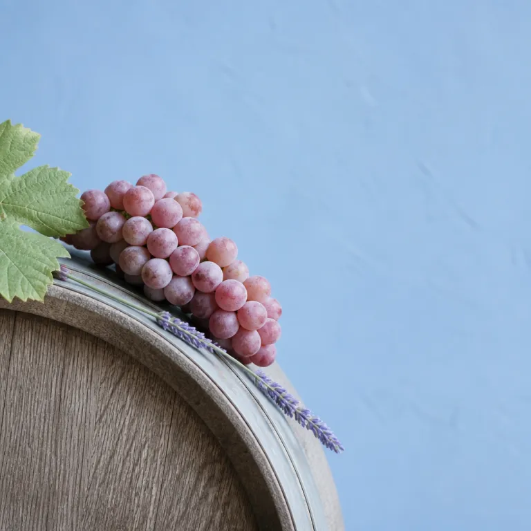 Napa Valley Travel Guide to Iconic Resorts, Wine Tasting, and Michelin Dining